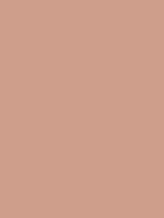 #ce9e8b color image