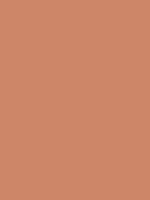 #cf8569 color image