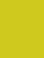 #cfc91e color image