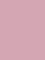 #d4a6b3 color image