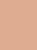 #ddac91 color image