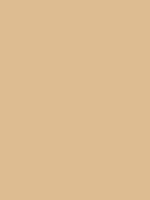 #ddbc91 color image