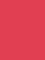 #e13f52 color image