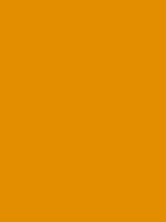 #e38e01 color image