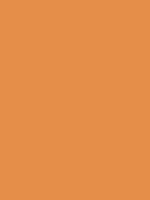 #e38e46 color image