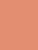 #e38e70 color image