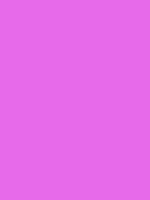 #e66aea color image