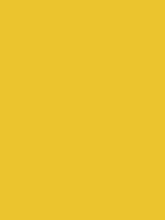 #ebc42e color image