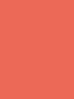 #ec6957 color image