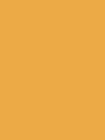 #ecaa46 color image