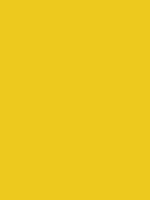 #edc91e color image