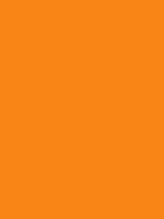 #fa8517 color image