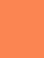 #fb8552 color image