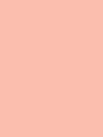 #fbbeae color image