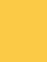 #fbca46 color image