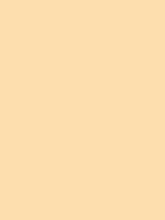 #fddeae color image