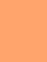 #ffa46c color image