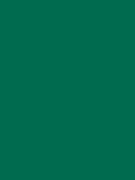 Bottle green / #006a4e hex color