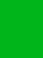 #00b51a color image