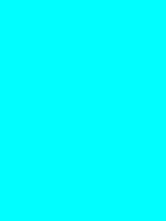 #00feff color image