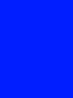 #011eff color image