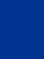 #013490 color image