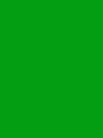 #029e13 color image