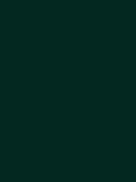#032820 color image