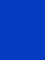 #033bc1 color image