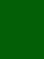 #035f06 color image