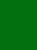 #037010 color image