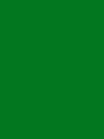 #037720 color image