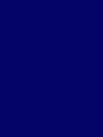 #040468 color image