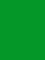 #049728 color image