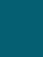 #055f72 color image