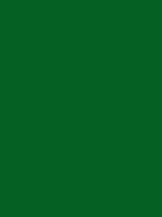 #056123 color image