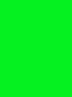 #05f121 color image