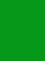 #069818 color image