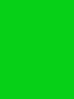 #06d017 color image