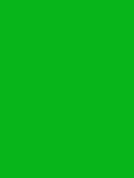 #07b51a color image
