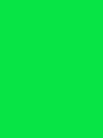 #07e445 color image