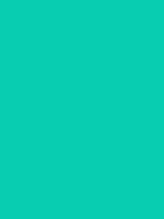 #08cdb1 color image
