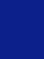 #0c208b color image