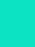 #0ce3c3 color image