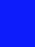 #0d1cfb color image