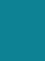 #0d8294 color image