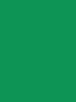 #0d9455 color image