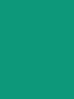 #0d987a color image