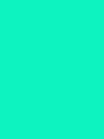 #0df3c0 color image