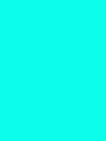 #0dfeec color image